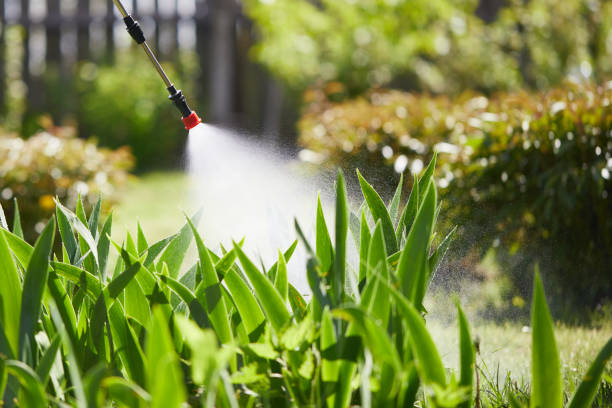 Tamper-Resistant Bait Stations for Rodents in Lyncourt