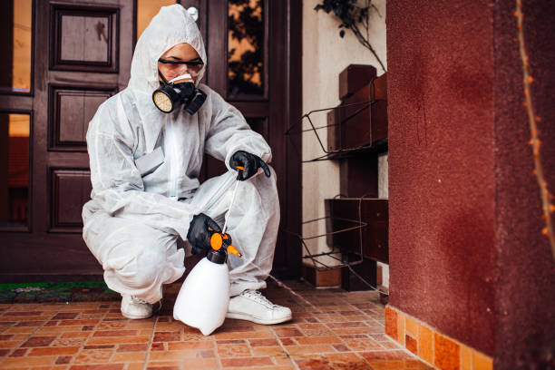Attic and Crawl Space Rodent Treatment in Lyncourt