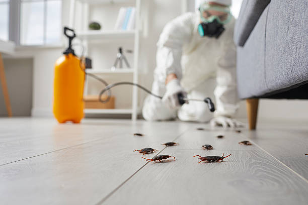 Commercial Rodent Management in Lyncourt